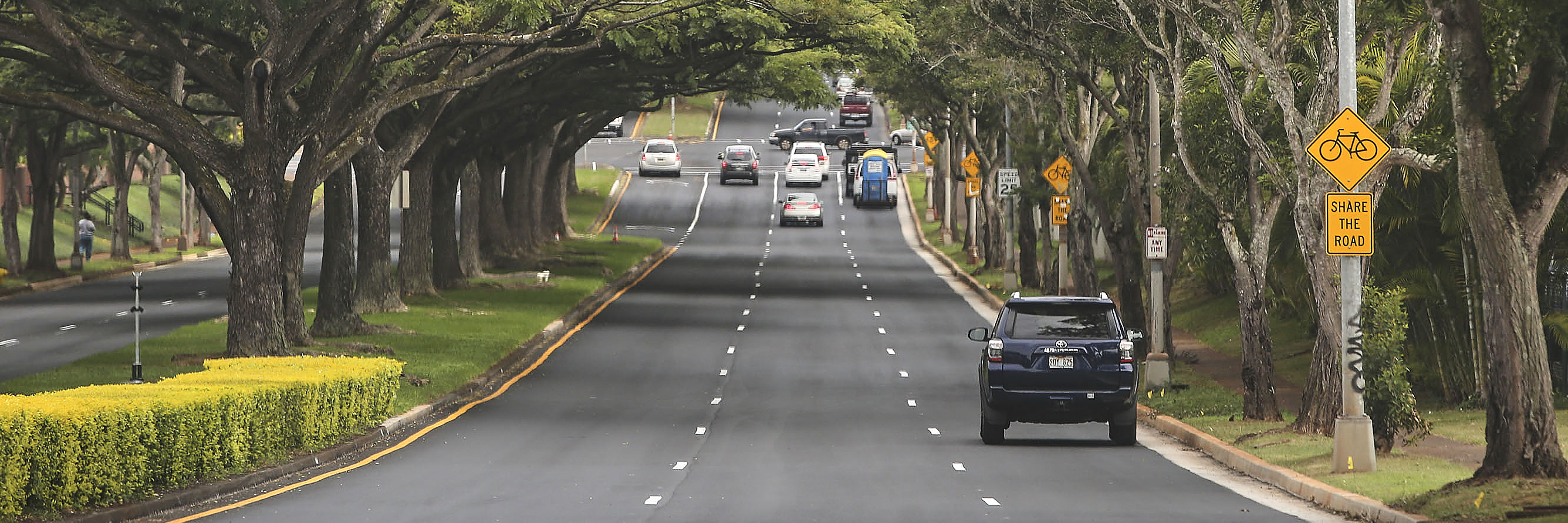 A shaded thoroughfare through Mililani.